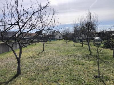 For sale Land SEMOY  45