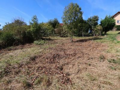 Vente Maison BESANCON 