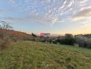 Land CAUNES-MINERVOIS 