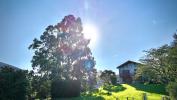 Acheter Maison Larceveau-arros-cibits 424000 euros