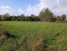 Land SAINT-CIERS-SUR-GIRONDE 