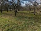 Acheter Maison Marges 224000 euros