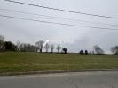 For sale Land Gouy 02420 1500 m2