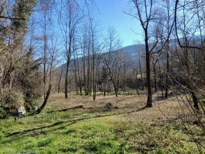 Vente Maison PRATS-DE-MOLLO-LA-PRESTE 