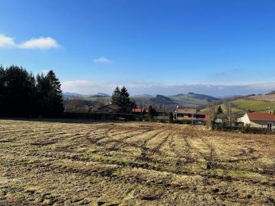 photo For sale Land VIOLAY 42