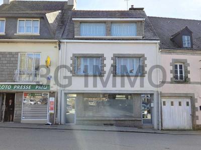 photo For sale House GOURIN 56