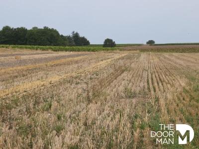photo For sale Land PERIGNAC 17
