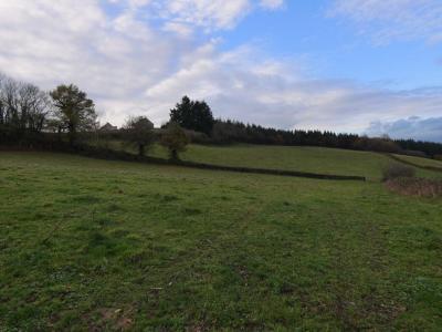 Vente Terrain MARIZY  71