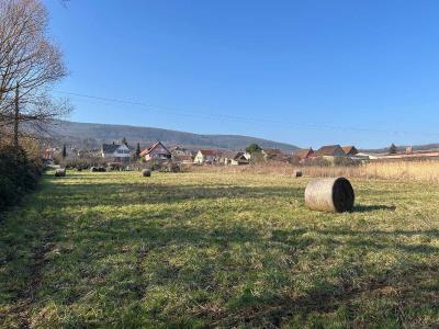 photo For sale Land ORSCHWIHR 68