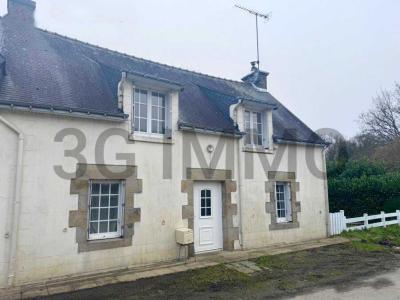 photo For sale House LANGOELAN 56