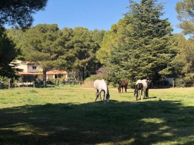 Vente Gite FONTVIEILLE  13
