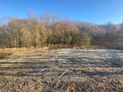 photo For sale Land NIVOLAS-VERMELLE 38