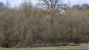 Louer Appartement Urimenil Vosges