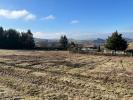 Land VIOLAY 