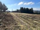 Land VIOLAY 