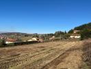 Land VIOLAY 