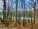 Acheter Terrain Sers Charente
