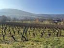 For sale Land Orschwihr  68500