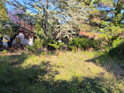 For sale Land COURTHEZON  84