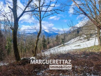 Vente Maison 3 pices TANINGES 74440