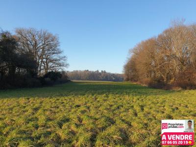 For sale Land BETHONCOURT  25