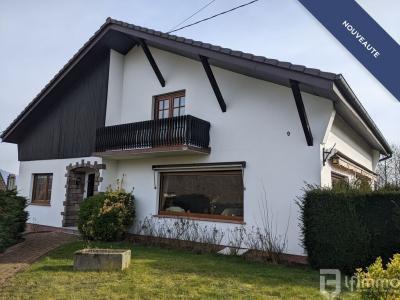 Vente Maison 9 pièces PREUSCHDORF 67250