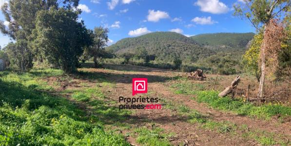 photo For sale House LECCI 20