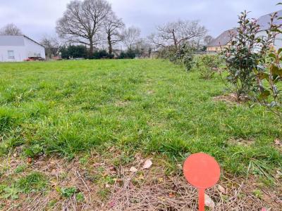 photo For sale Land CONQUEREUIL 44