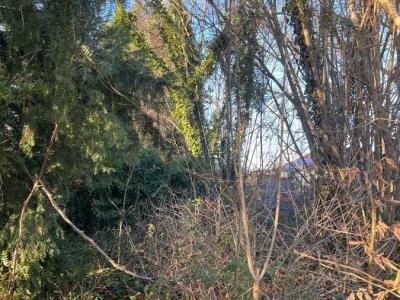 Vente Terrain FERE-CHAMPENOISE 51230