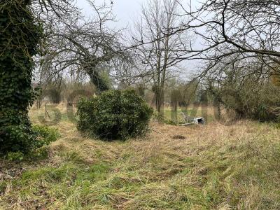 Vente Terrain VILLENAUXE-LA-GRANDE 10370