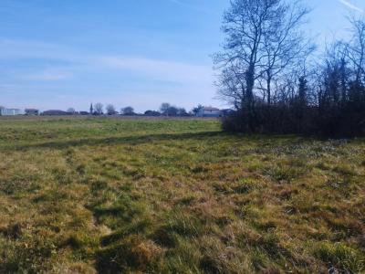Vente Terrain SAINT-CLAR-DE-RIVIERE 31600