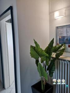 photo For rent Apartment METZ 57
