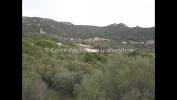 Annonce Vente Terrain Figari