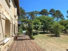 Acheter Prestige Mios Gironde