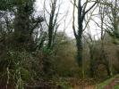 Land SAINT-TUGDUAL 