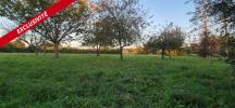 Acheter Maison 73 m2 Alencon