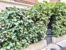 Apartment NEUILLY-SUR-SEINE 