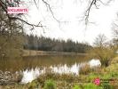 For sale Land Plaine  49360 11556 m2