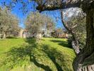 House UZES 