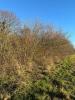 Annonce Vente Terrain Fere-champenoise