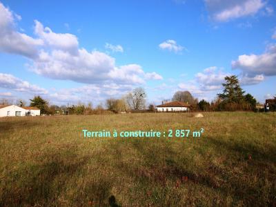 Vente Terrain BELLUIRE 17800