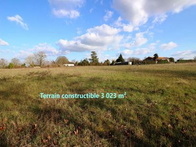 Vente Terrain BELLUIRE 17800