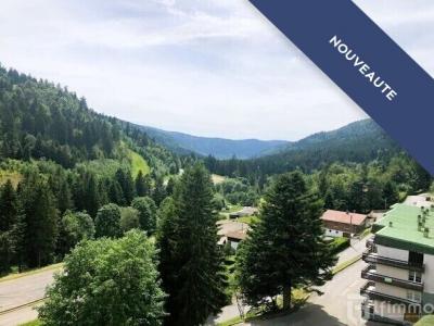 Vente Appartement 2 pièces LA-BRESSE 88250
