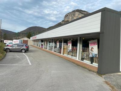 Vente Local commercial CHANCIA 01590