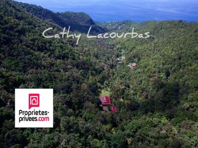 photo For sale Prestigious house BOUILLANTE 971