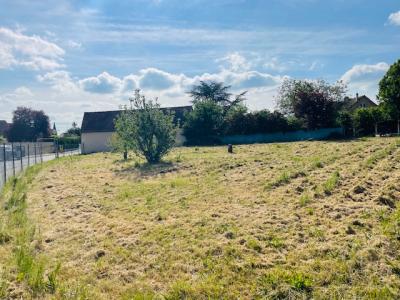Vente Terrain SAINT-AUBIN-DES-BOIS 28300