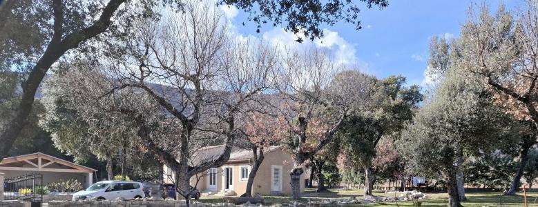 Vente Maison 4 pièces ROCHEGIRON 04150