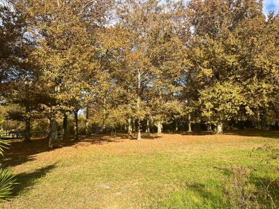 Vente Terrain BAZAS  33