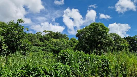 photo For sale Land ABYMES 971