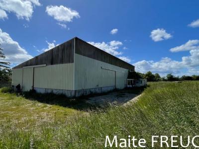 For sale Commercial office NERAC  47